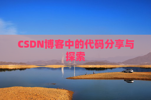 CSDN博客中的代码分享与探索
